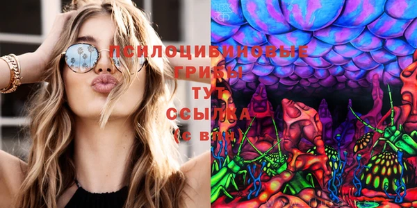 каннабис Алексеевка